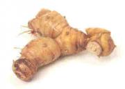 Alpinía officinarum Hance